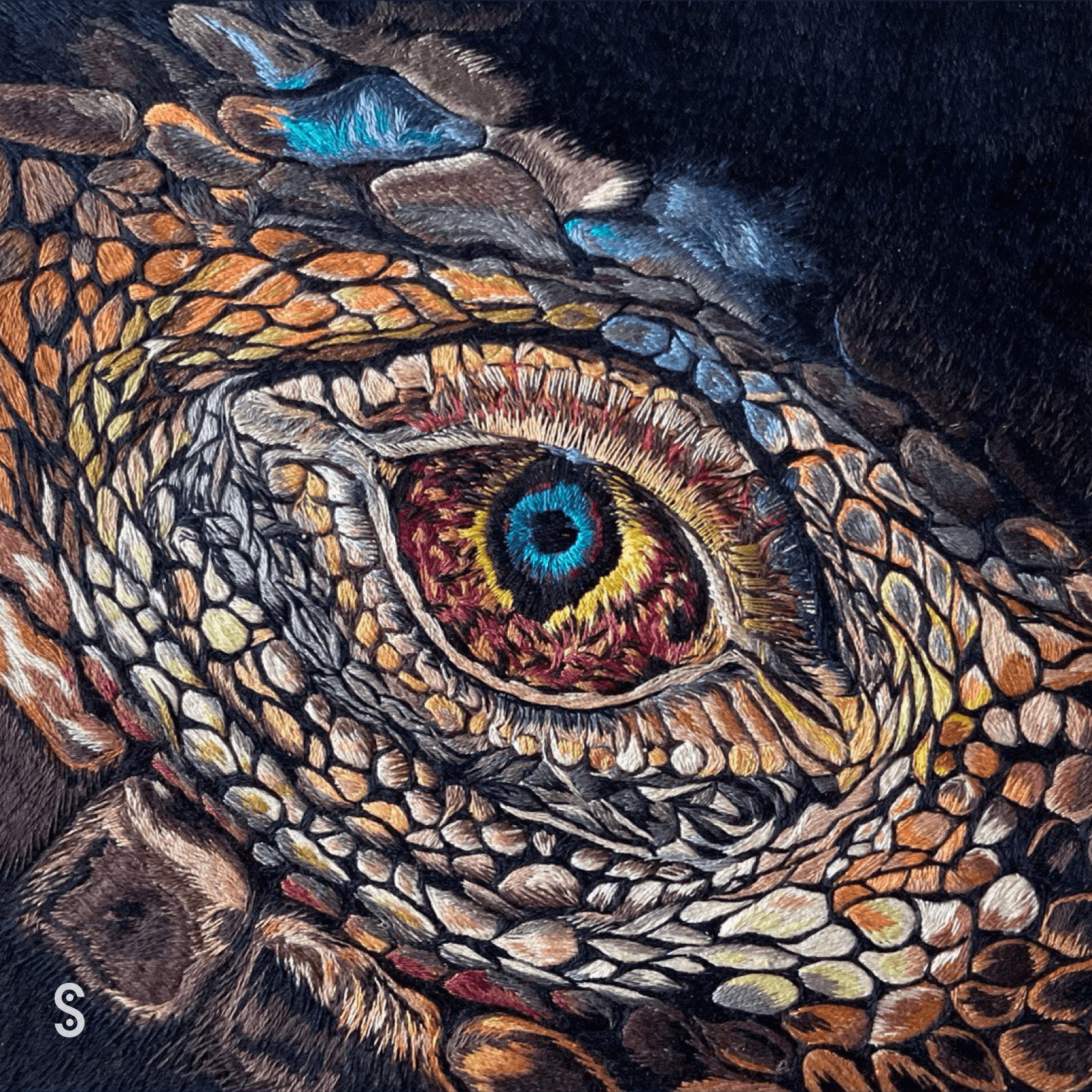 Young Dragon — SVITLA